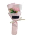thumbnail image 1 of Carnation Flower for Special Occasions - Plastic Material, for Home Decor, Highly Realistic, Symbolic, Low Maintenance, 1 of 4