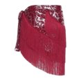thumbnail image 5 of Haitryli Womens Belly Dance Hip Scarf Tiered Tassel Waist Chain Lace Up Skirt For Salsa Tango Burgundy Leopard One Size, 5 of 5
