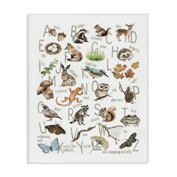 Stupell Industries Rustic Lodge Woodland Nature Alphabet Canvas Art, 24 x 30, by Ziwei Li