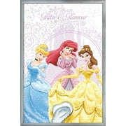 Disney Princess - Glitter and Glamour Wall Poster, 22.375" x 34", Framed