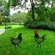 thumbnail image 3 of Matsuzay Estacas de animales acrílicas de gallo, decoración artística de jardín, letrero de jardín artístico para patio de pollos, amplia Jardín y Patio B, 3 of 6