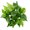 Type 6, variant on Farfi Clear Texture Artificial Leaf Fadeless Plastic Floral Arrangement Simulation Plant Home Decor (Type 6)