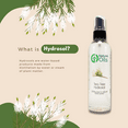 thumbnail image 6 of GreenHealth Tea Tree Hydrosol 16 fl oz Clear Plastic Bottle with Black Spray Cap, 6 of 6