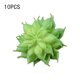 thumbnail image 4 of Advancent 10 piezas de suculentas falsas plantas simuladas Flores artificiales tipo 30, 4 of 6