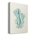 thumbnail image 2 of Antique Coastal Coral XI Premium Gallery Wrapped Canvas - Ready to Hang, 2 of 9
