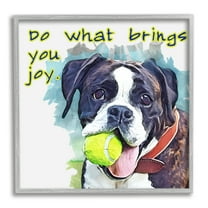 Stupell Do What Brings You Joy Dog Phrase Animals & Insects Painting Gray Framed Art Print Wall Art