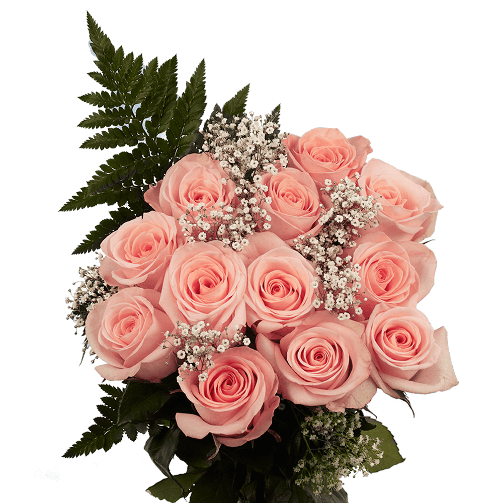 Babys Breath Flower buy bulk flowers- JR Roses