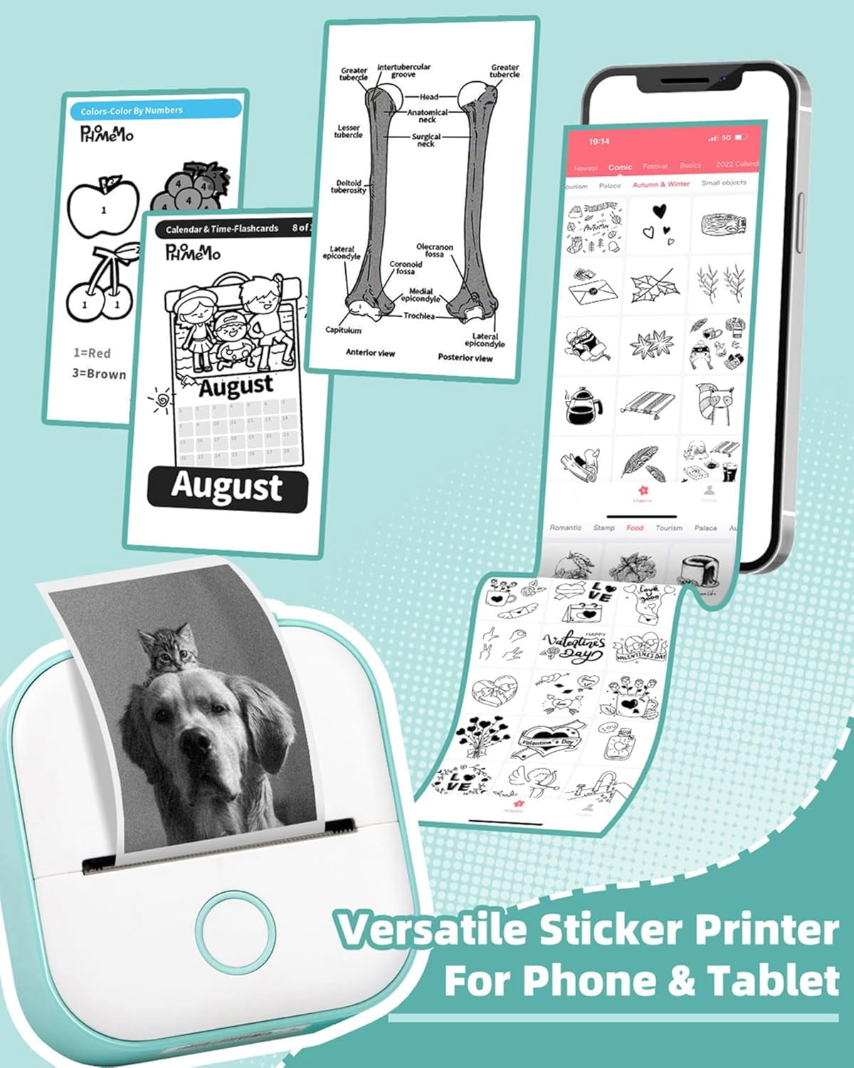 Mini Sticker Printer - T02 Mini Printer Portable Thermal Printer Inkless Sticker Maker Machine Bluetooth Pocket Printer Phone Printer for Study Graphics, Anatomical Diagrams