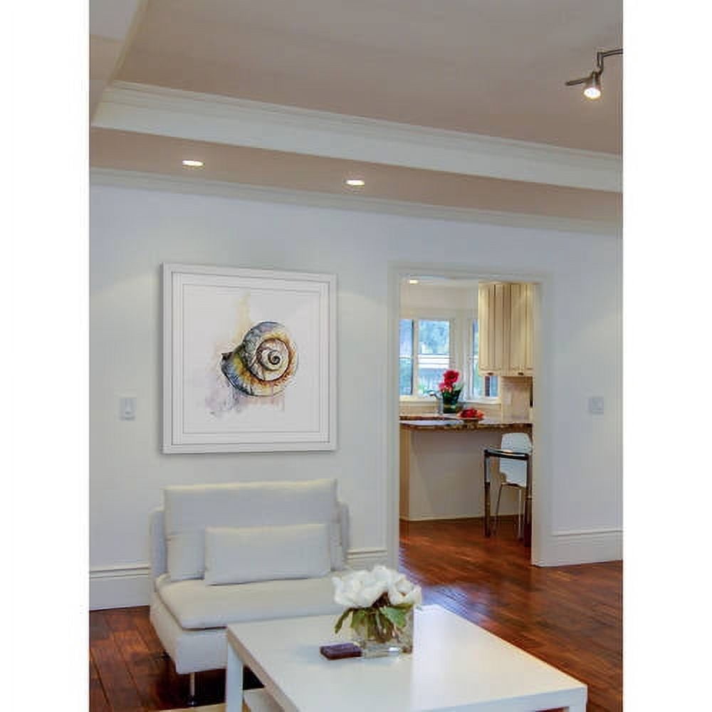 "Snail Shell" by Rachel Byler Framed Painting Print