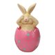 thumbnail image 1 of El Conejito de Pascua se sienta sobre cáscaras de huevo, no escucha, no mira, no habla de adornos de escritorio., 1 of 5