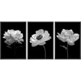 thumbnail image 3 of PixonSign Framed Wall Art Set Poppy and Carnation Still Life Floral Plants Photography Canvas Prints Black & White Modern Art Decor for Living Room, Bedroom, Office - 16"x24"x3 Black, 3 of 5