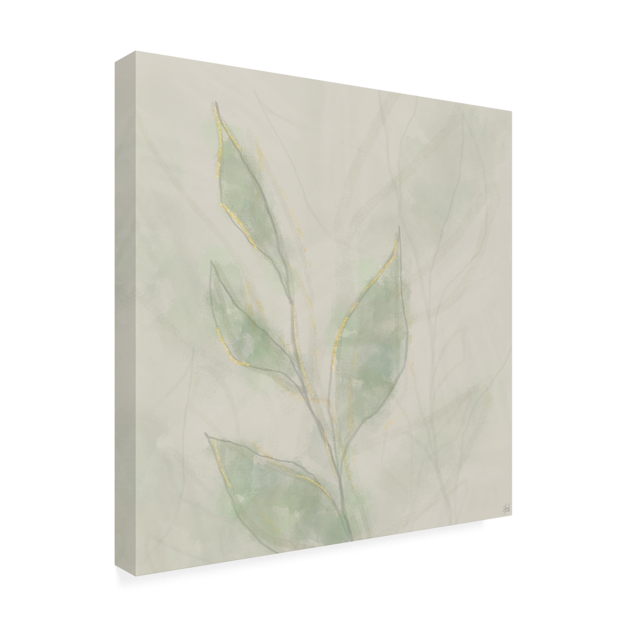 Canvas Wall Art - Line and Brush 'Botanical Shadowed' Wall Art for Living Room, Bedroom, or Office Décor by Trademark Fine Art - 14 x 14 Inches