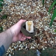 thumbnail image 3 of MesaSe 2pc Fake Key Hider Feels Like Real Stone  Safe for Outdoor Garden   Geocaching, 3 of 6
