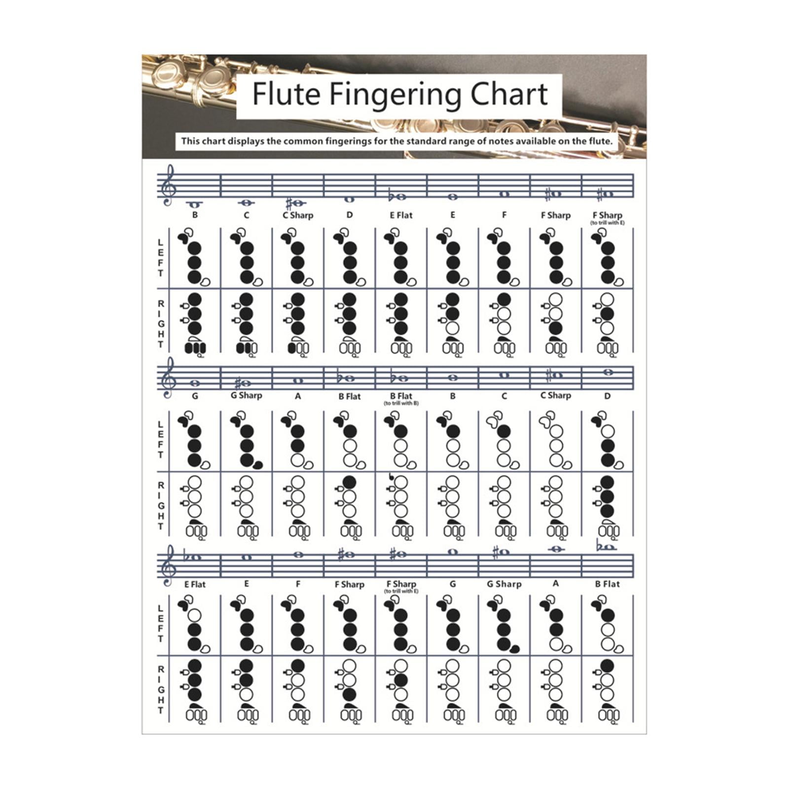 Useful Flute Fingering Chart Poster Practical Instrument Accessories