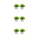 thumbnail image 4 of Moyic 2 uds plantas de simulación en maceta de plástico que añaden belleza y estilo a cualquier entorno mantenimiento de bajo costo doble Type1 NO1, 4 of 6