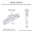 thumbnail image 6 of Lab Grown Diamond Heart Engagement Ring with Side Stones - Half Carat - EF-VS Quality, 14K White Gold, US 10.50, 6 of 9