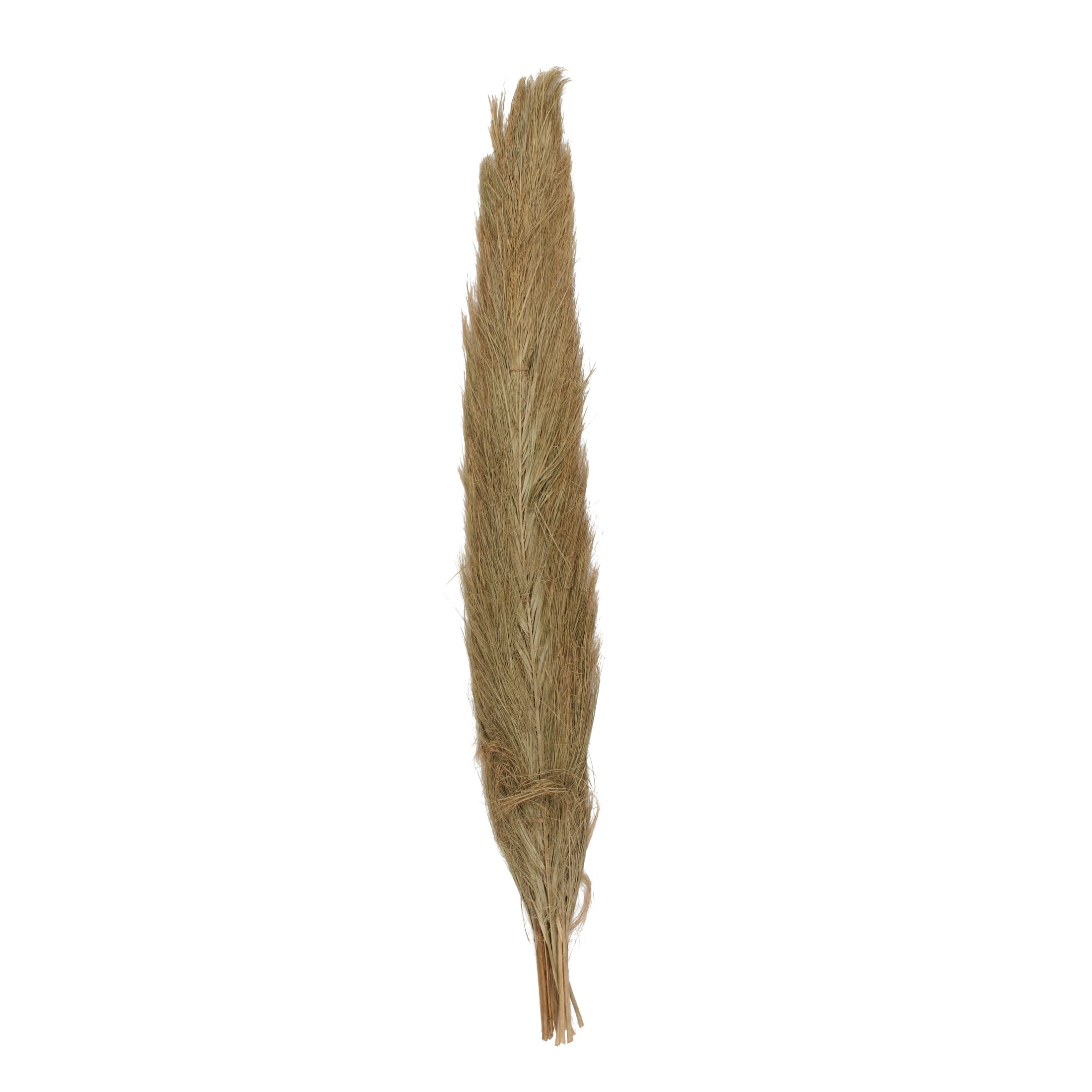60" Tall Palm Leaf Natural Foliage Bouquet, by DecMode