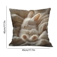 thumbnail image 3 of Rijanmt Easter Realistic Fluffy Bunny Comfort Pillow Case,Easter Throw Pillow Case With Flower Bunny And Eggs,Pillowcase Square Cushion Covers For Sofa Bed Couch,Spring Home Decor,17.71*17.71",C, 3 of 6