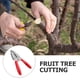thumbnail image 3 of Herramienta ajustable para anillar frutales (1 unidad). Cortador para anillar árboles frutales. Herramienta de poda., 3 of 7