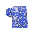 thumbnail image 2 of TOMMY HILFIGER Mens Blue Paisley Slim Neck Tie, 2 of 3