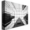 Trademark Art "Big Apple I" Canvas Art by Nina Papoirek