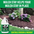 thumbnail image 3 of MULCH STAY  Mulch & Stone Glue & Preservative Strongest Mulch Glue, Stops Washout, One Coat Advantage, 3 of 7