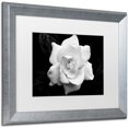 thumbnail image 2 of Trademark Fine Art "Gardenia in Black and White" Canvas Art by Kurt Shaffer, White Matte, Silver Frame, 2 of 4