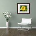 thumbnail image 2 of Trademark Fine Art "Just a Sunflower" Canvas Art by Kurt Shaffer, White Matte, Wood Frame, 2 of 4