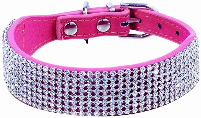 rhinestone dog collars
