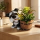 thumbnail image 4 of CaiYueKe Schnauzer Dog Resin Planter, Cute Whimsical Dog Figurine with Barrel Pot, Succulent Flower Pot, Home Decor Planter, Gift for Dog Lovers, Indoor Outdoor Decorative Planter, 4 of 5