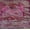 Pink, variant on Women's Satin Silk Saree with Silver Zari Embroidery and Sequins Designer Traditional Wedding Festive Party Wear Sari