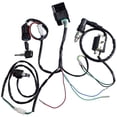 thumbnail image 2 of Cable Loom Harness Kill Switch Bobina de encendido Cdi 50-160 cc, 2 of 7
