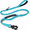 Hands Free Leash with Pouch, variant on WAAYEEPAL Tactical Heavy-Duty Bungee Dog Leash with 2 Padded Handles and Car Seatbelt, 4-6 ft, Brown
