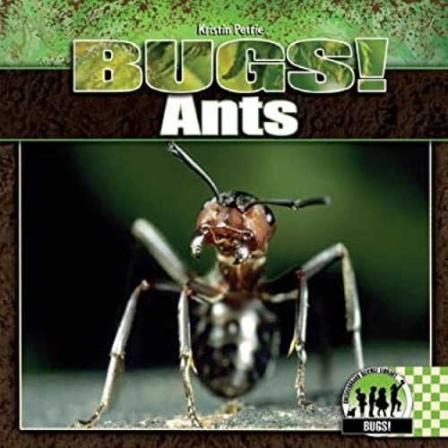 Pre-Owned Ants (Hardcover) 9781604530629