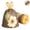Brown, variant on 6 Pcs Halloween PVC Hanging Ornaments Set, Lantern Ghost Bat Black Cat Candy Corn Witch Hat Shaped Decorations, Spooky Cute Holiday Decor for Home Tree Party Mantel Decor