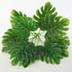 thumbnail image 3 of Planta Artificial Baoblaze de Plástico Melaleuca Bonsai 32 cm decoración para el Hogar, 3 of 8