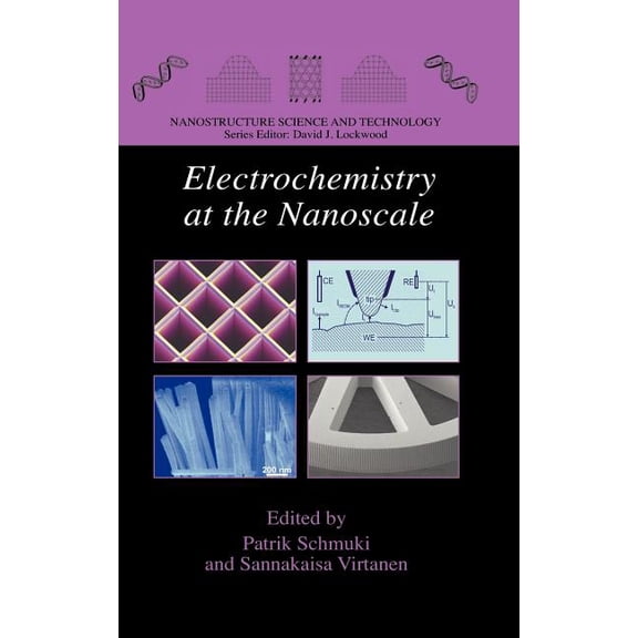 Nanostructure Science and Technology Electrochemistry at the Nanoscale, (Hardcover)