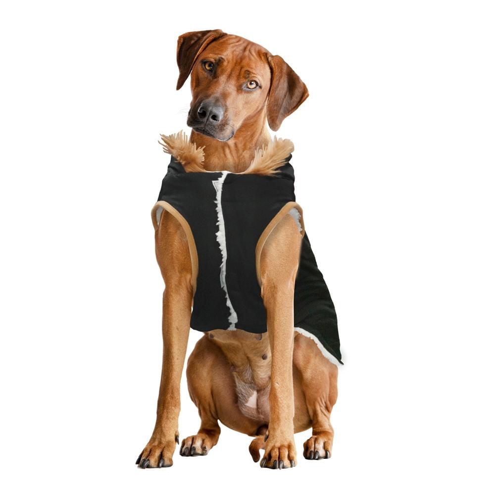 Holiday Time Vêtements pour chiens : Veste à capuche pour l'automne et l'hiver, noir avec fausses boutons, taille XS-XL