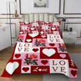 thumbnail image 1 of Erosebridal Love Heart Coverlet Set King, Pink Rose Bedding Set, Romantic Patchwork Decor, 3pcs, 1 of 5