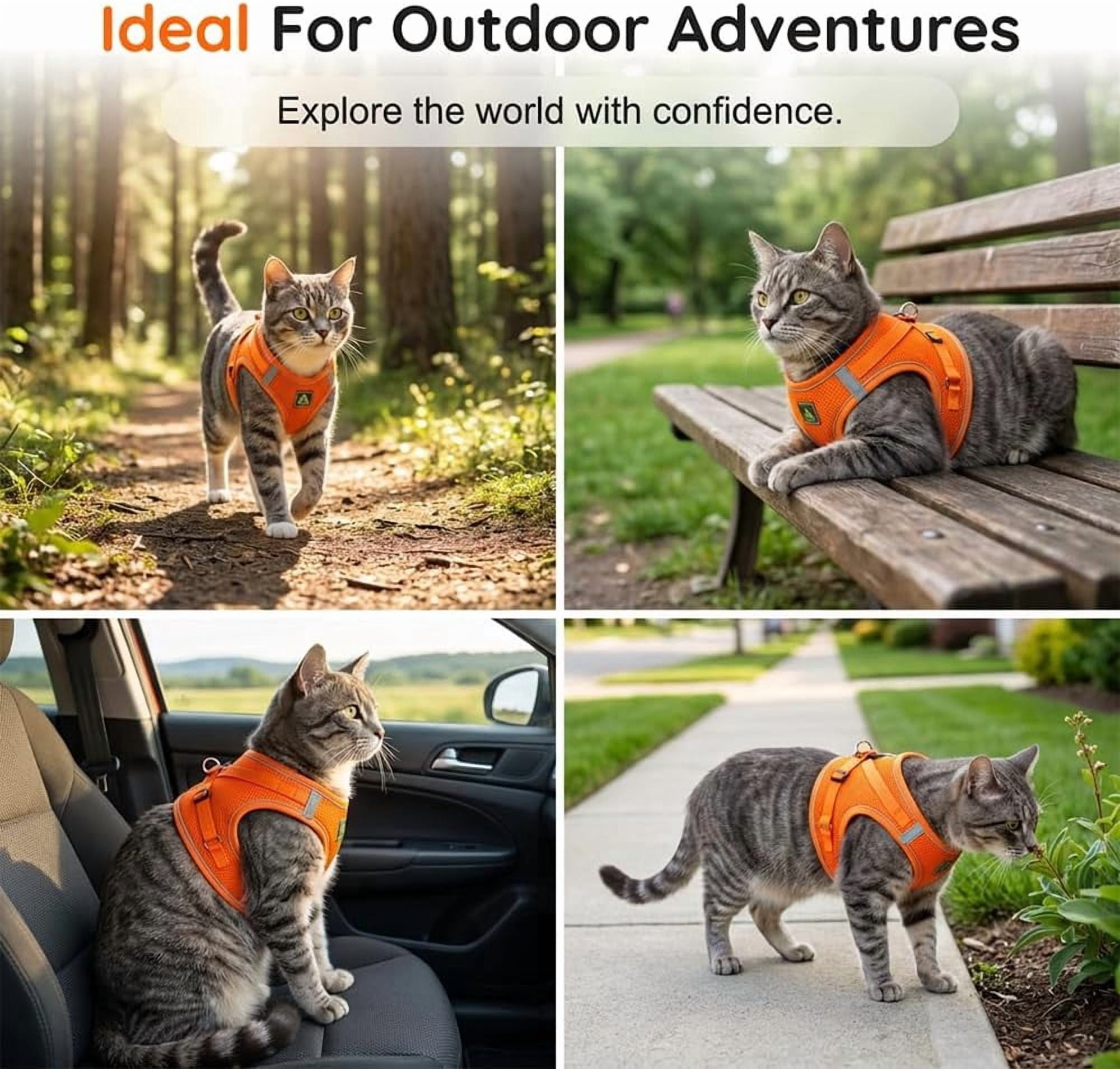 Escape Proof Cat Harness and Leash Set, Adjustable, Breathable, Reflective, for Cats