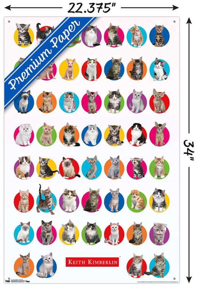 Keith Kimberlin - Kitten Grid Wall Poster with Push Pins, 22.375" x 34"