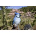 thumbnail image 4 of BLUE JAY Chantant Activé par Mouvement Debout sur Souche, 4 of 5