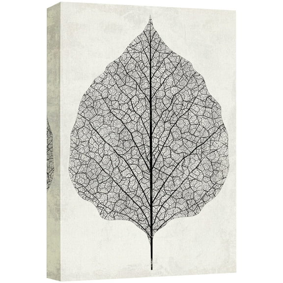 wall26 Canvas Print Wall Art Vintage Transparent Black & White Leaf Floral Botanical Illustrations Realism Chic Scenic Relax/Calm Multicolor Cool for Living Room, Bedroom, Office - 16"x24&qu