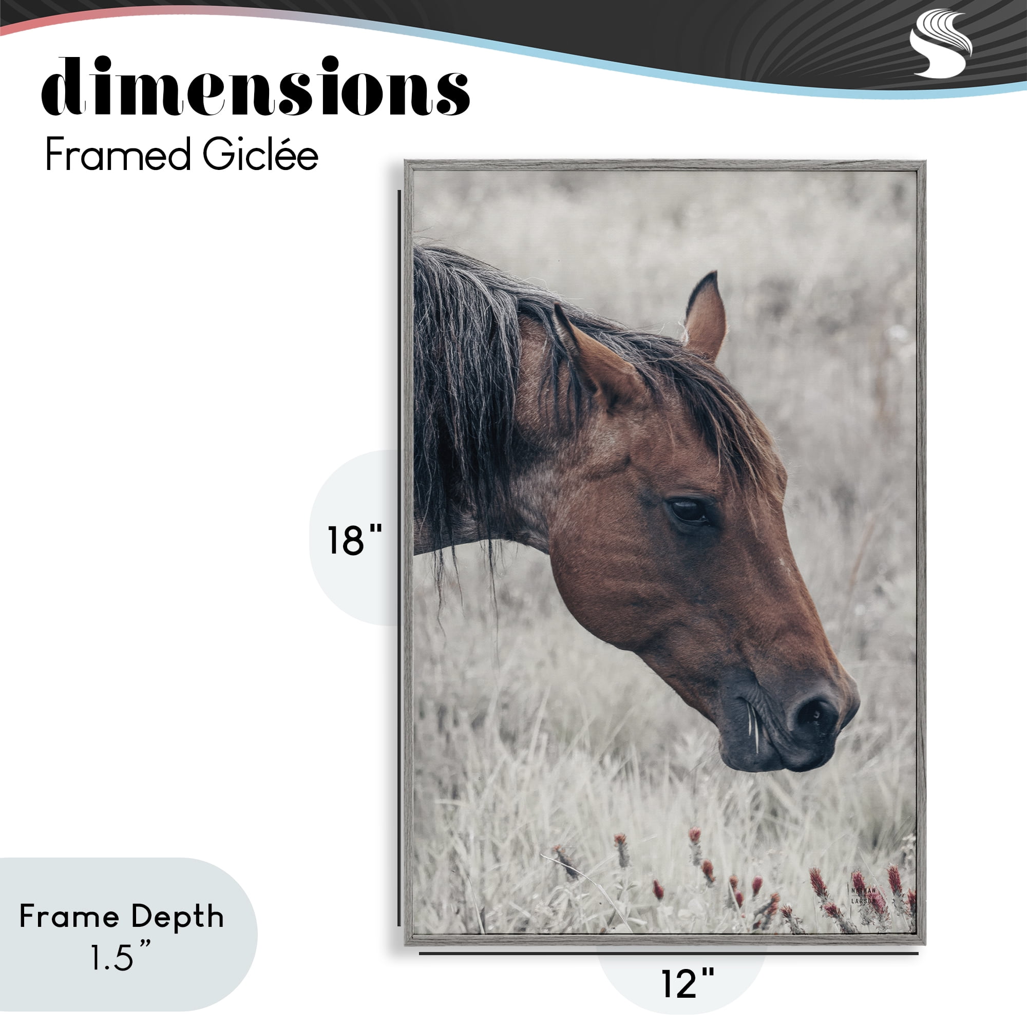 Stupell Industries Mother Horse Grazing in Meadow Gray Framed Giclee Art, design by Nathan Larson