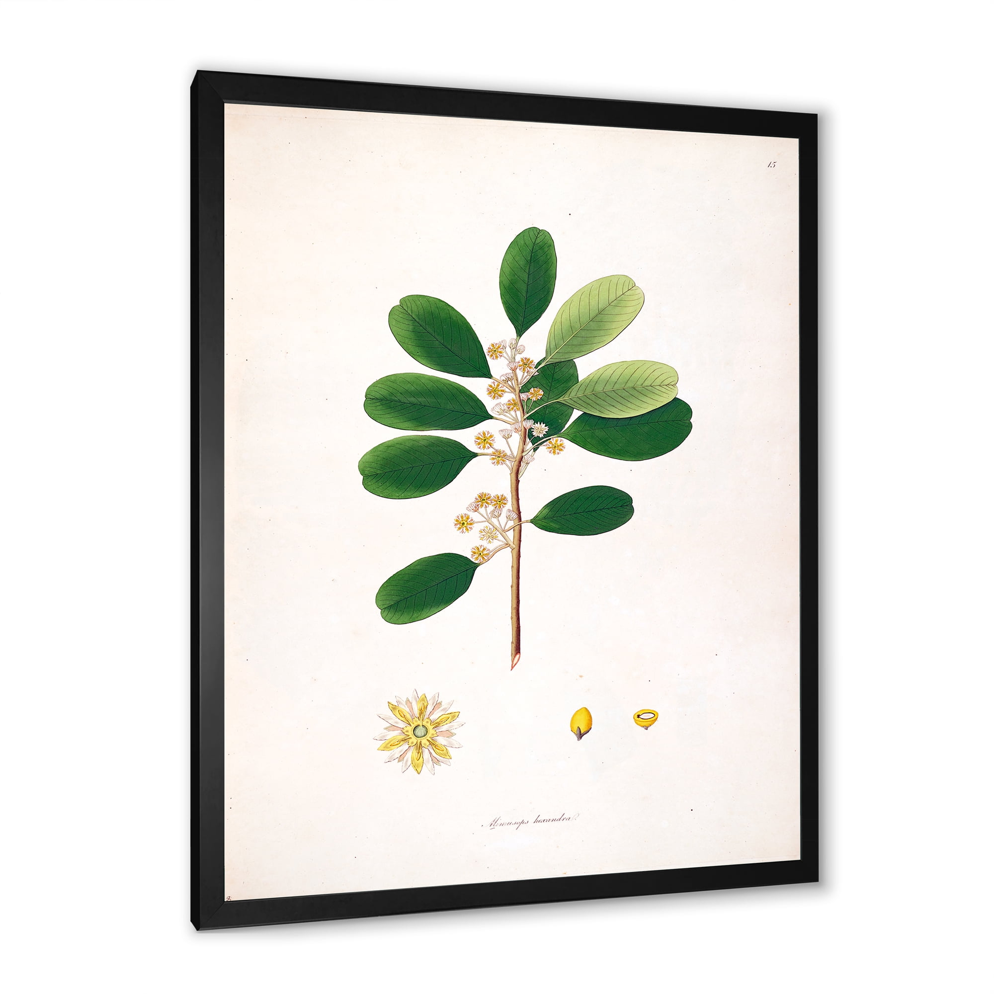 Designart 'Ancient London Plants IX' Farmhouse Framed Art Print