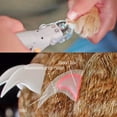 thumbnail image 4 of Pet Nail Clipper Dog Cat Nail Toe Claw Scissor Nail Trimmer with LED Light, 4 of 8