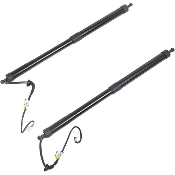 SEBLAFF 1 Pair Back Door Power Tailgate Actuator Pull Down Motors Replacement for 2014 2015 2016 2017 2018 2019 Toyota Highlander 6891009130 6891009120