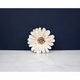 thumbnail image 2 of 4" Daisy May (10 Pack), 2 of 5