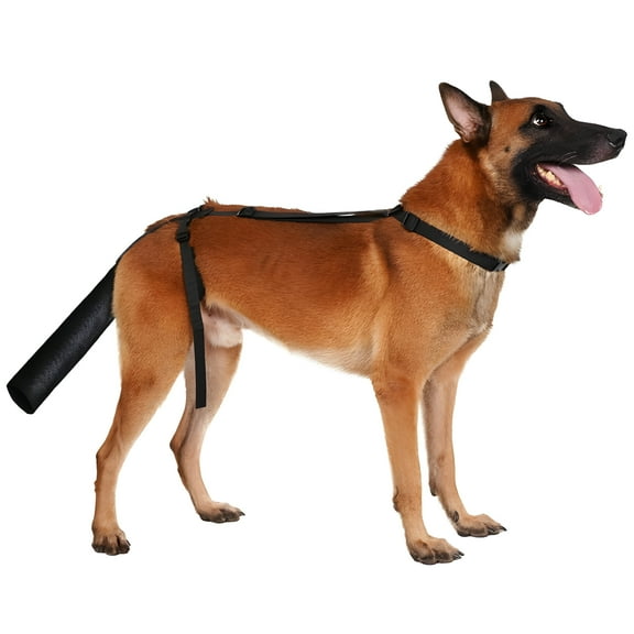 TELOLY Dog Tail Protector, Dog Tail Guard for Medium Large Dogs, Adjustable Dog Tail Cover to Prevents Licking Wounds, Breathable Tail End Bag for Tail Syndrome Recovery