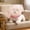 #3-Pink【Pet Anti-ingestion Veil x1】, variant on Anti Scavenging Mesh Dog Snood, Breathable Head Protector and Face Guard, Elastic Hood Net Barrier Against Foxtails and Accidental Ingestion, AKLJWH